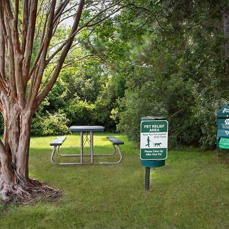 Hampton Inn By Hilton Panama City Beach Upper Grand Lagoon Ngoại thất bức ảnh