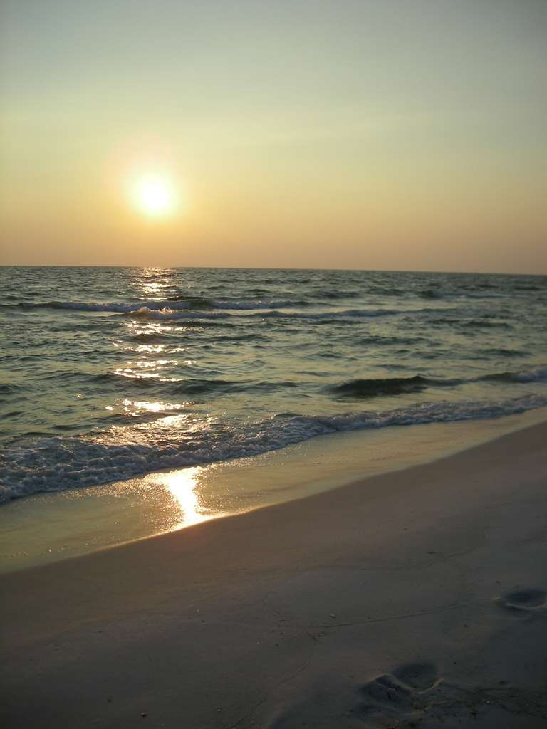 Hampton Inn By Hilton Panama City Beach Upper Grand Lagoon Thiên nhiên bức ảnh